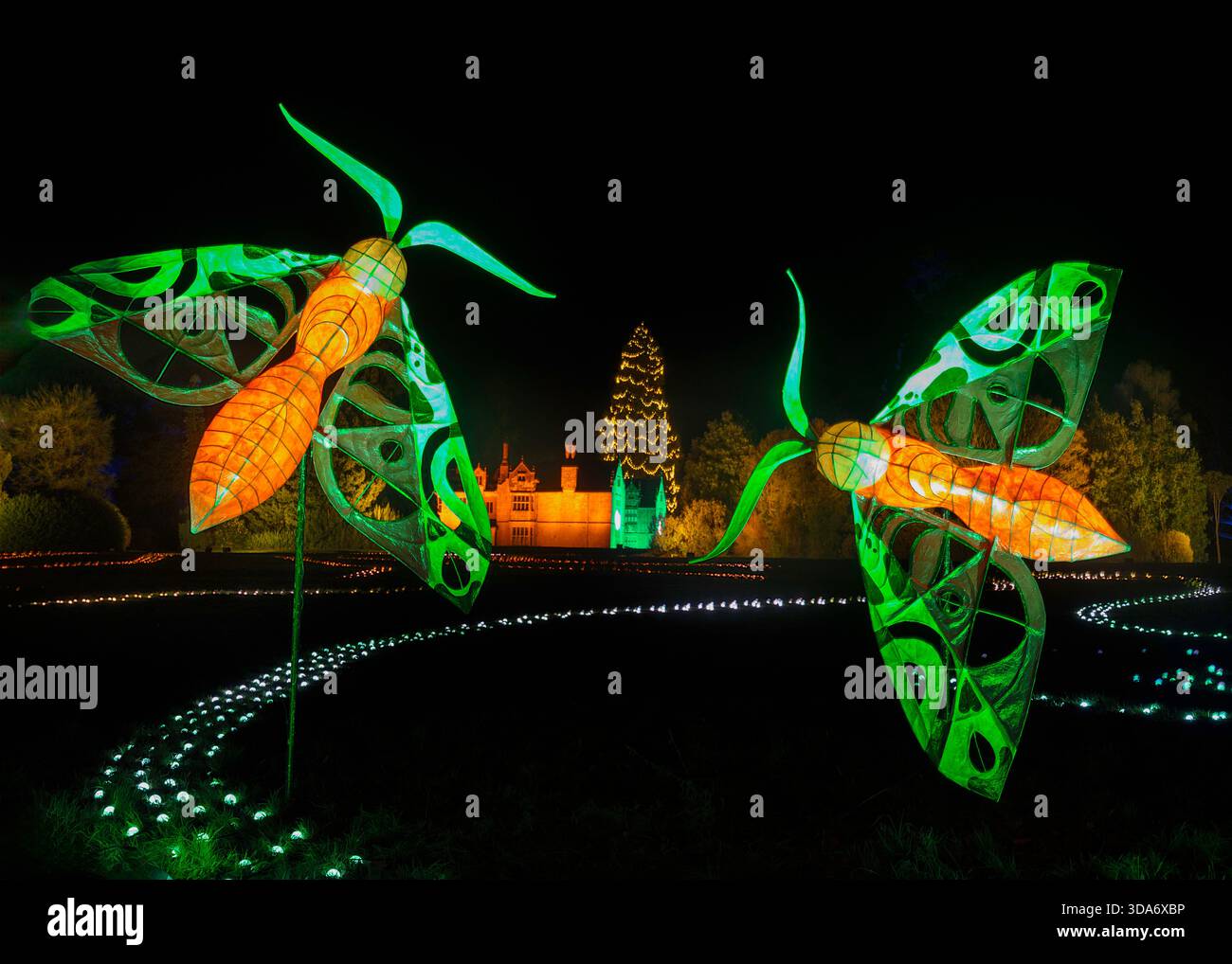 27 Nov 2025 Wakehurst place, Sussex UK Wakehurst place ouvre ses portes à Glow Wild Banque D'Images