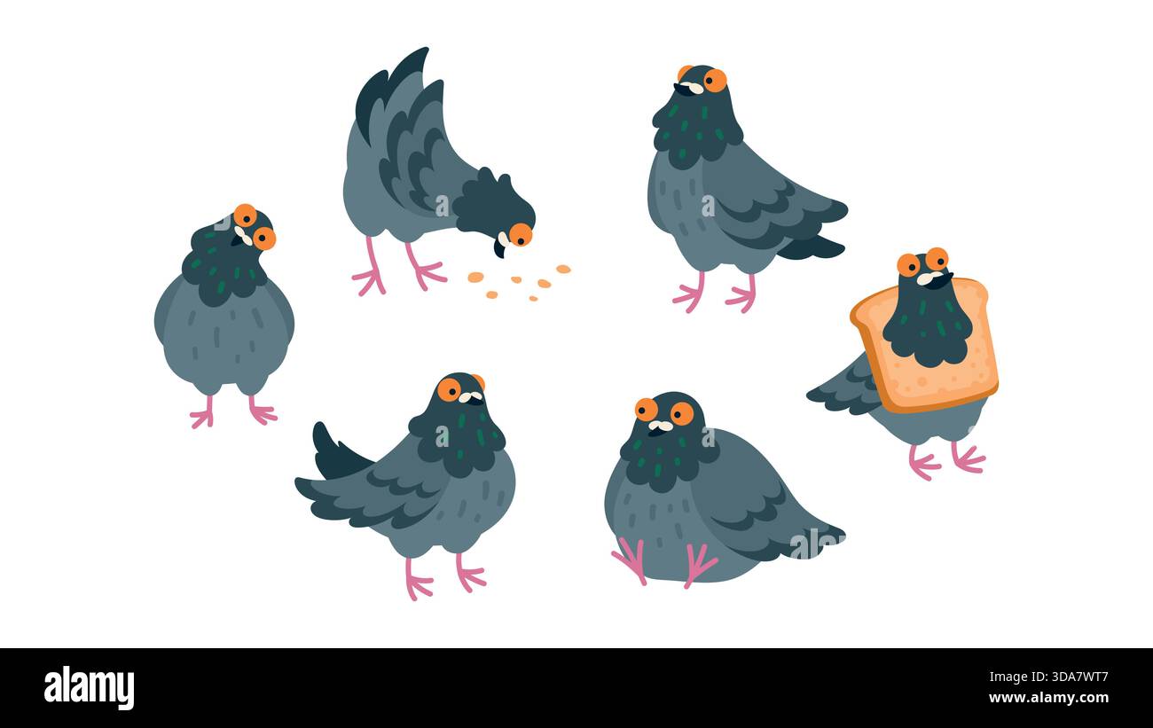 Ensemble de joli pigeon stupide avec différentes émotions et illustrations d'action isolé sur blanc. Personnages comiques de colombe rock dans différentes poses. Urban stre Illustration de Vecteur