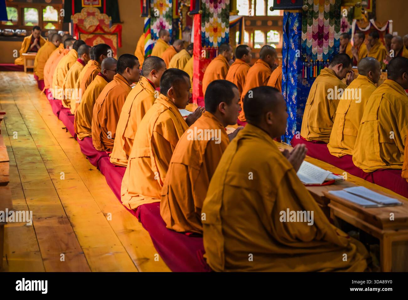 Paro, Bhoutan - 17 septembre 2025 : vue de moines au safran, têtes inclinées dans la prière au monastère de Sangchekhor, absorbez les enseignements anciens au milieu de vib Banque D'Images
