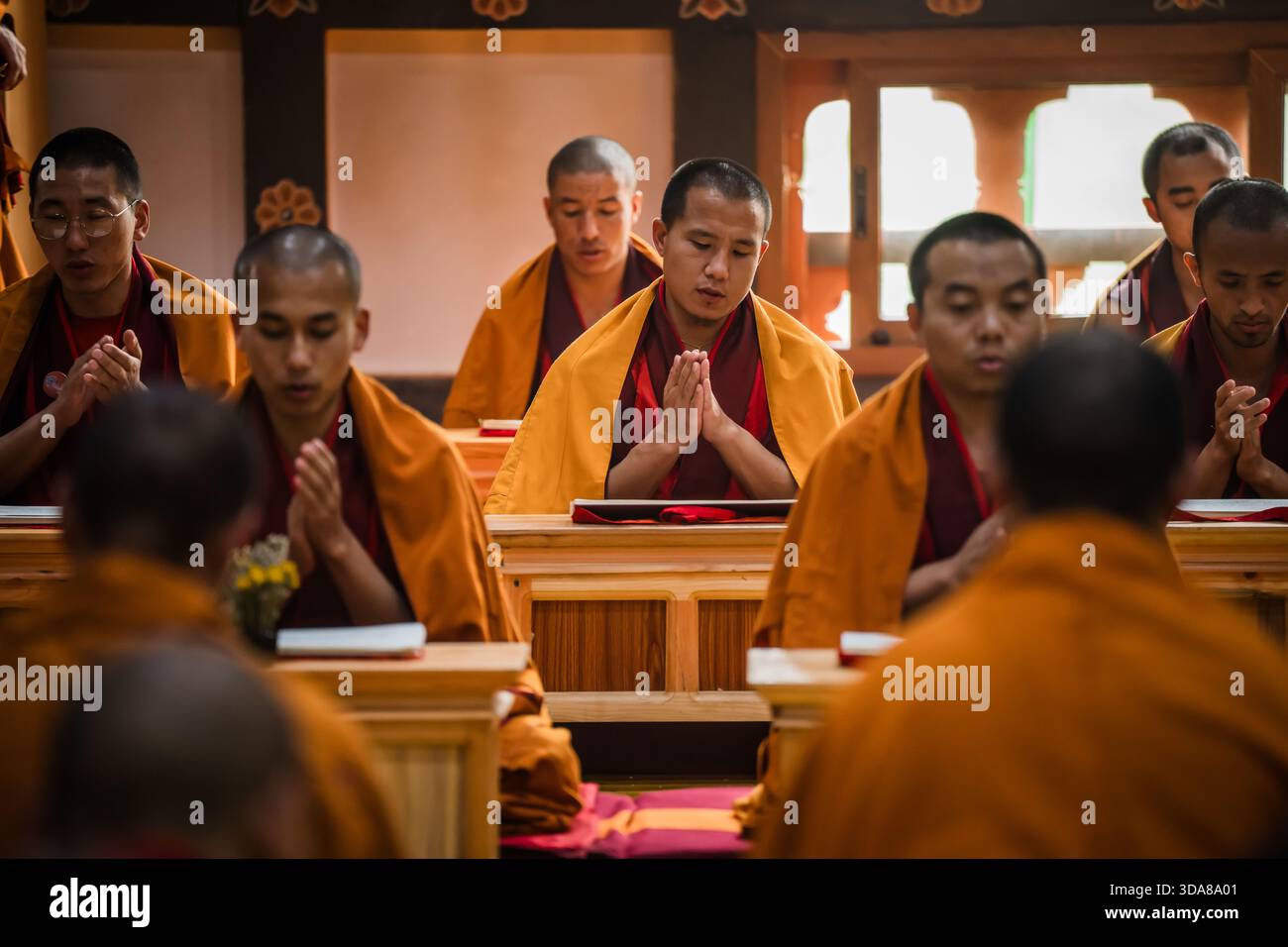 Paro, Bhoutan - 17 septembre 2025 : vue de moines dans le monastère de Sangchekhor, têtes inclinées dans la prière, leurs robes de safran un contraste vibrant avec la guerre Banque D'Images