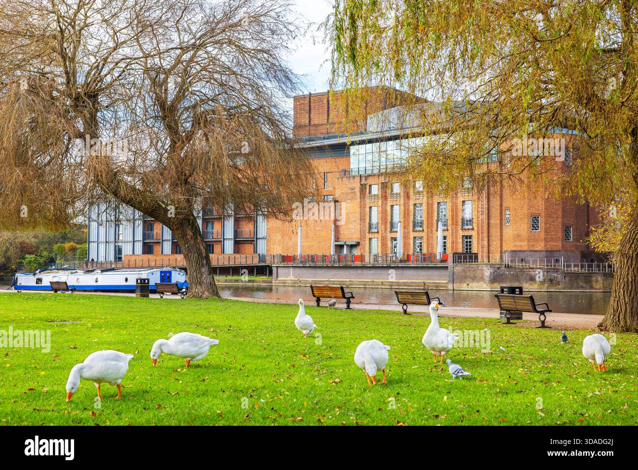Parc, rivière et bâtiment du Royal Shakespeare Theatre. Stratford upon Avon, warwickshire, Angleterre Banque D'Images