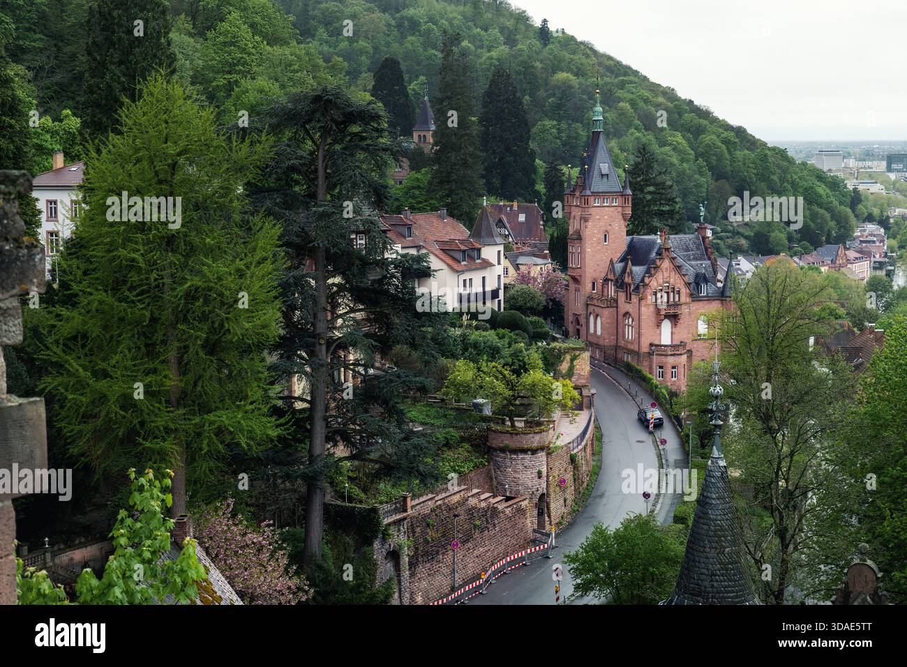 Pittoresque petit château luxuriant sur la colline de Heidelberg entoure de charmants bâtiments historiques route sinueuse menant à la tour de briques ornées. Lumière de verdure fraîche Banque D'Images