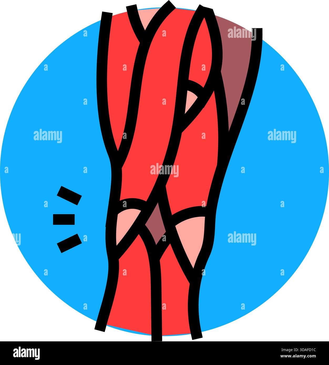 illustration vectorielle d'icône de couleur de muscle de ischio-jambier tendu Illustration de Vecteur