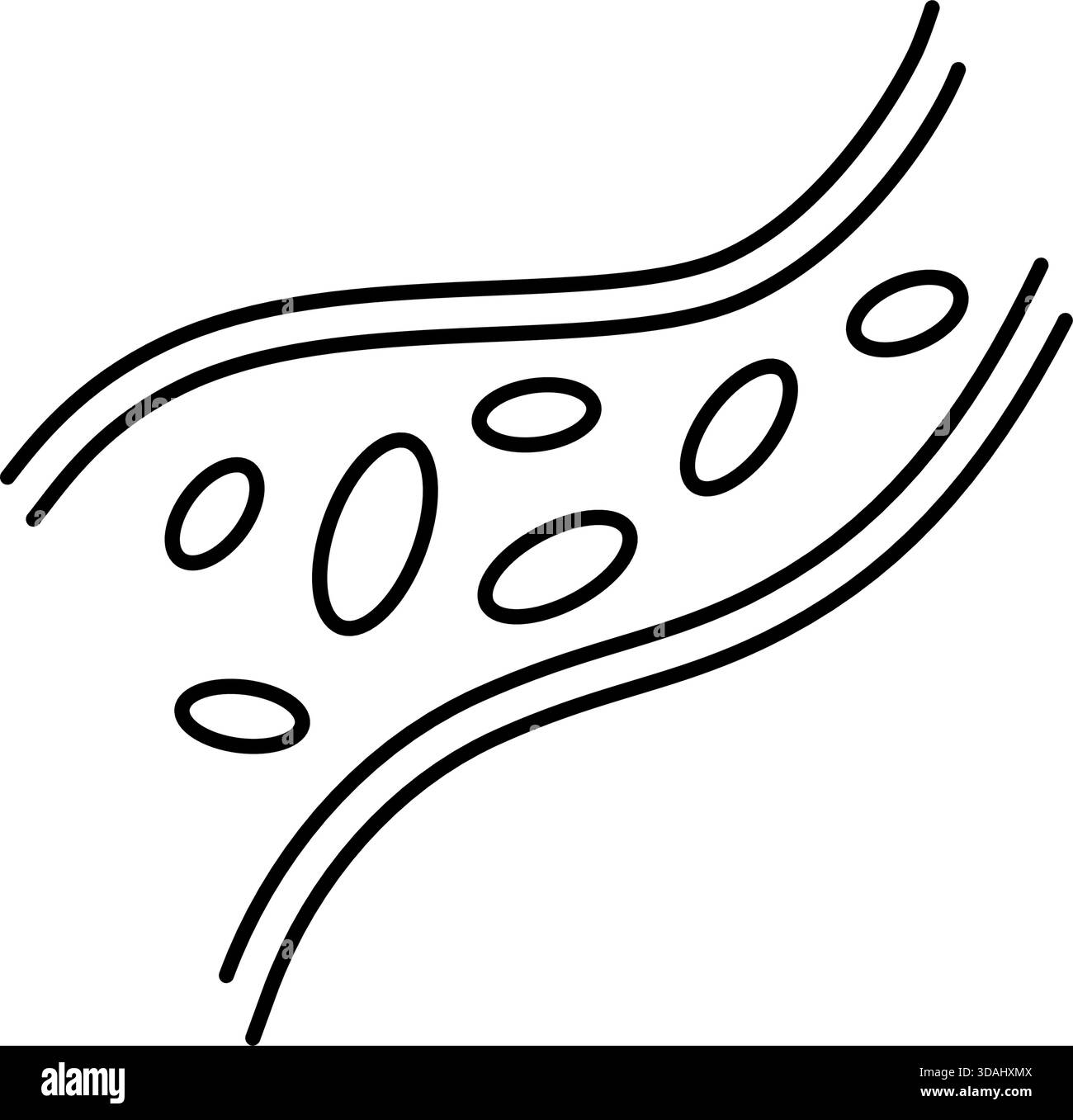Icône de ligne de vaisseau sanguin. Symbole de l'artère et de la veine humaines. Signe de l'hémoglobine sanguine. Contrôle sain du système cardiaque. Icône de vaisseau sain. Illustration vectorielle Illustration de Vecteur