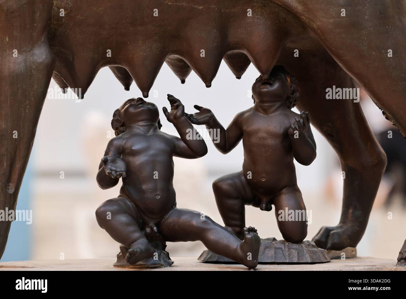Musées du Capitole. Capitoline elle-loup allaitant les jumeaux Romulus et Remus, les fondateurs mythiques de Rome. Banque D'Images