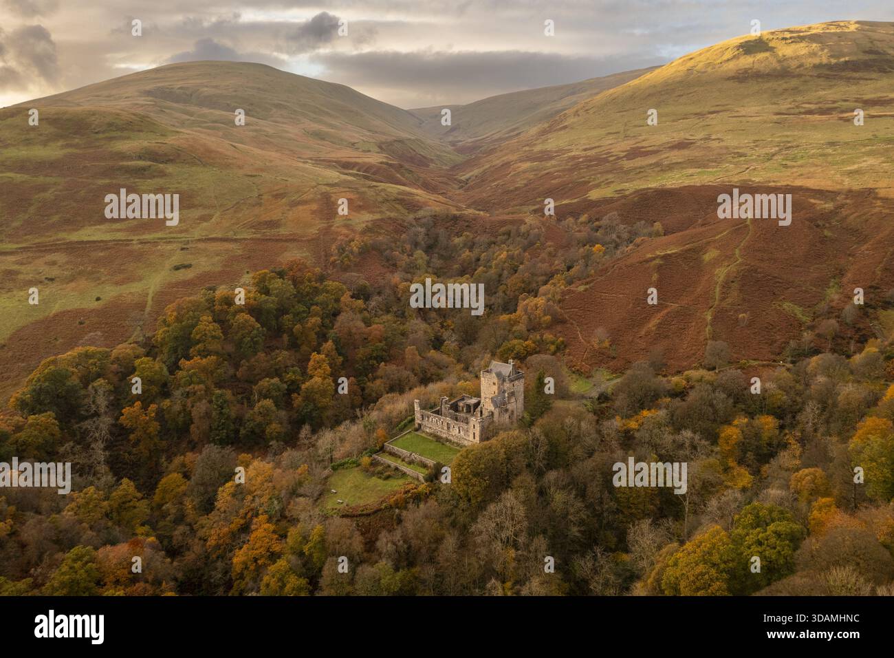 Vue aérienne du château Campbell niché dans une forêt d'automne dynamique, contrastant avec les collines ocre ondulantes sous un ciel nuageux, Dollar, Écosse, unité Banque D'Images