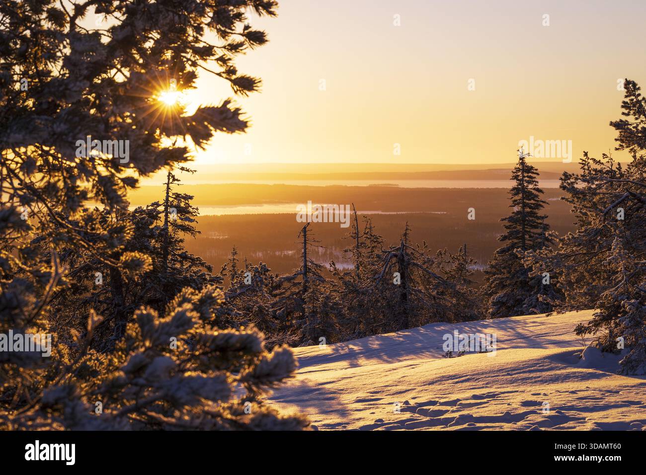 Vue de rayons de soleil perçant à travers les arbres chargés de neige, projetant une lueur chaude sur le paysage lointain et gelé en hiver, Kuusamo, Ostrobothnie du Nord, fin Banque D'Images