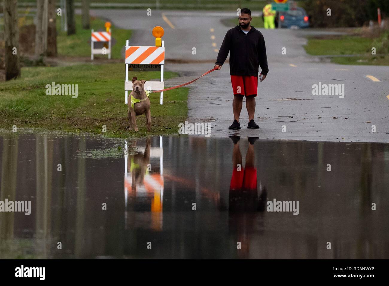 Vancouver, Canada. 11 décembre 2025. Un homme promène son chien dans une rue inondée à Abbotsford, en Colombie-Britannique, le jeudi 11 décembre 2025. Crédit : la presse canadienne/Alamy Live News Banque D'Images