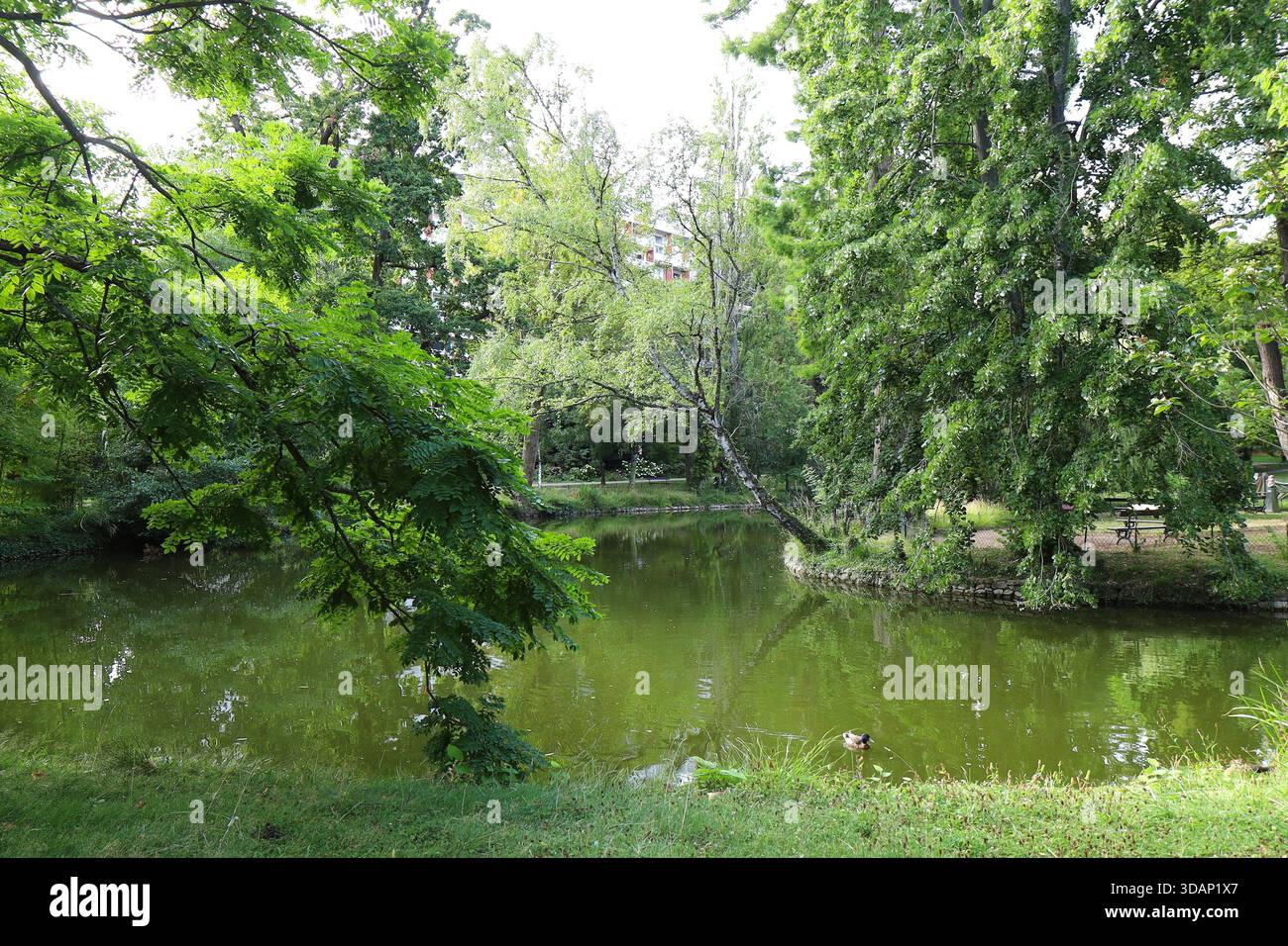 Jardin des plantes, ville du Mans, département de la Sarthe, France Banque D'Images
