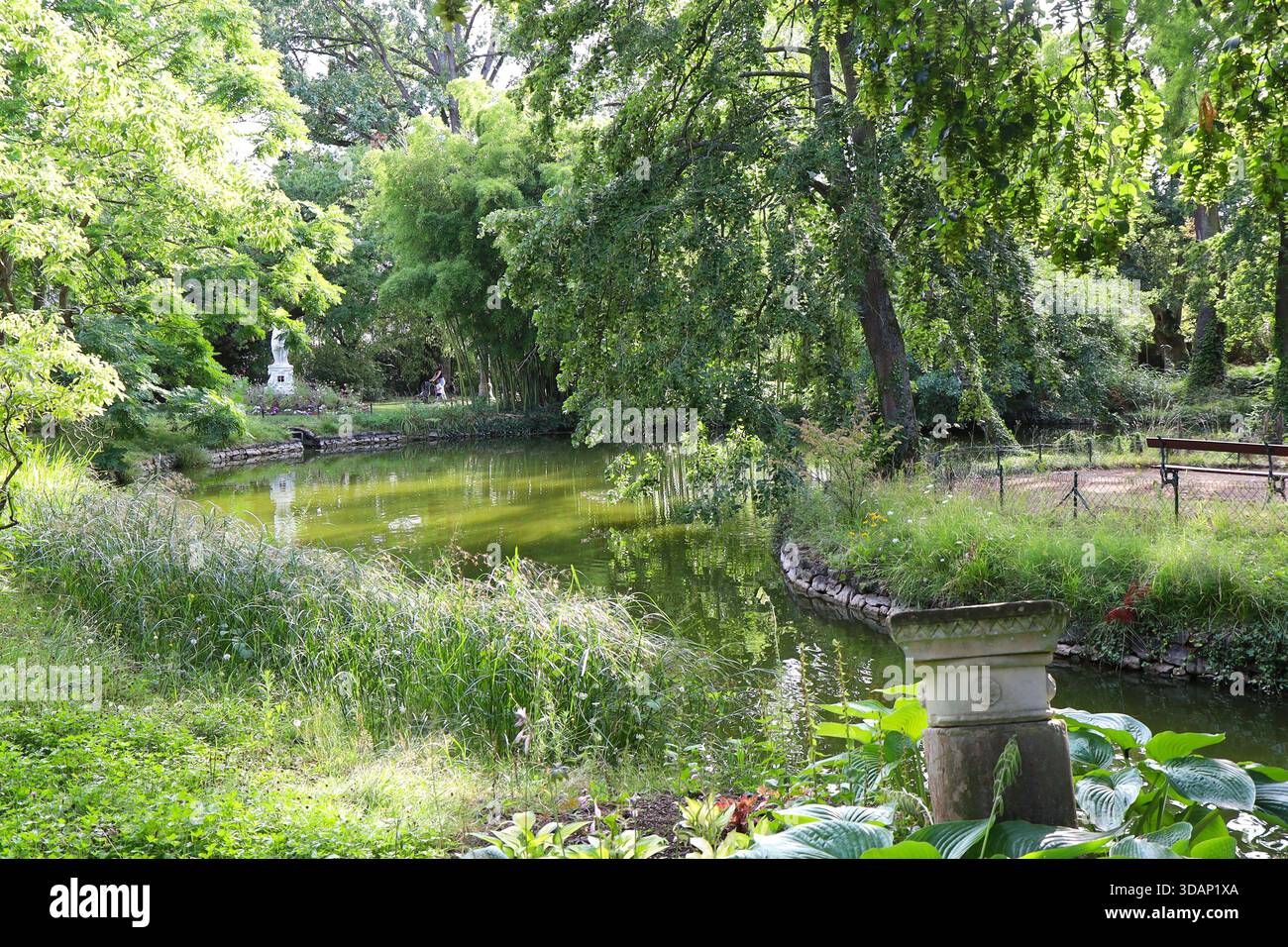 Jardin des plantes, ville du Mans, département de la Sarthe, France Banque D'Images
