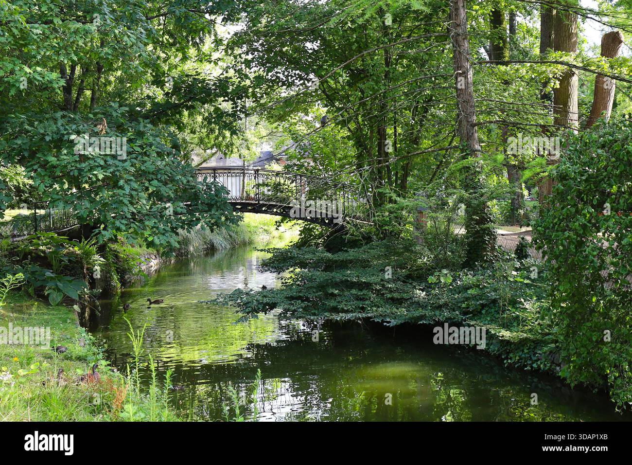 Jardin des plantes, ville du Mans, département de la Sarthe, France Banque D'Images