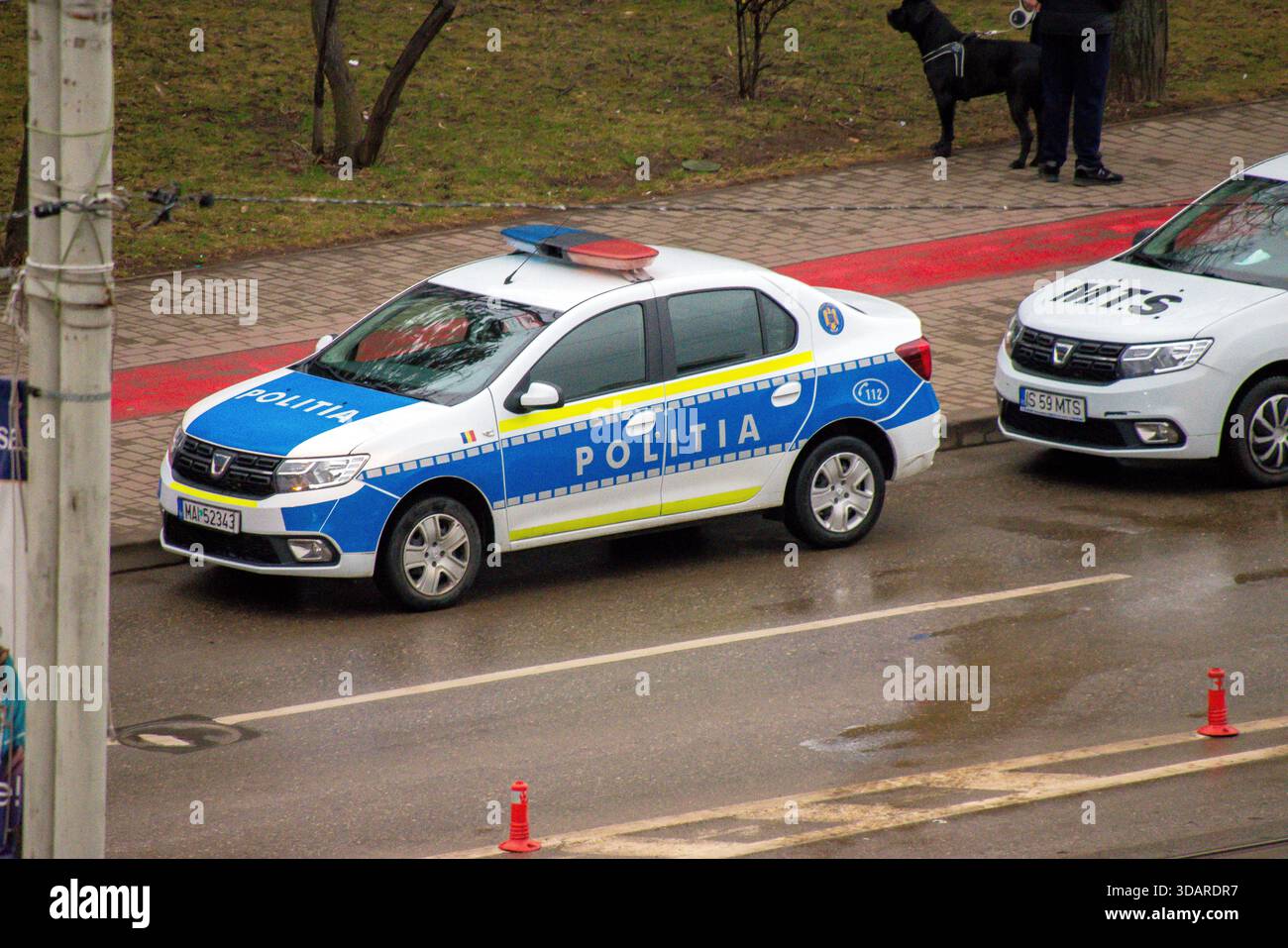 Police roumaine (Politia) dans la rue pendant une mission. Banque D'Images