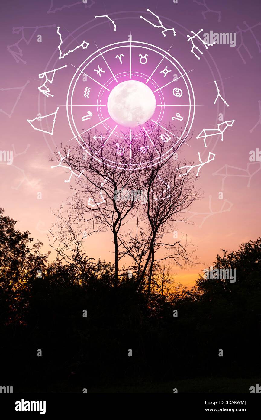 Signes du zodiaque et astrologie avec constellations, concepts, prédictions, horoscopes, croyances Banque D'Images