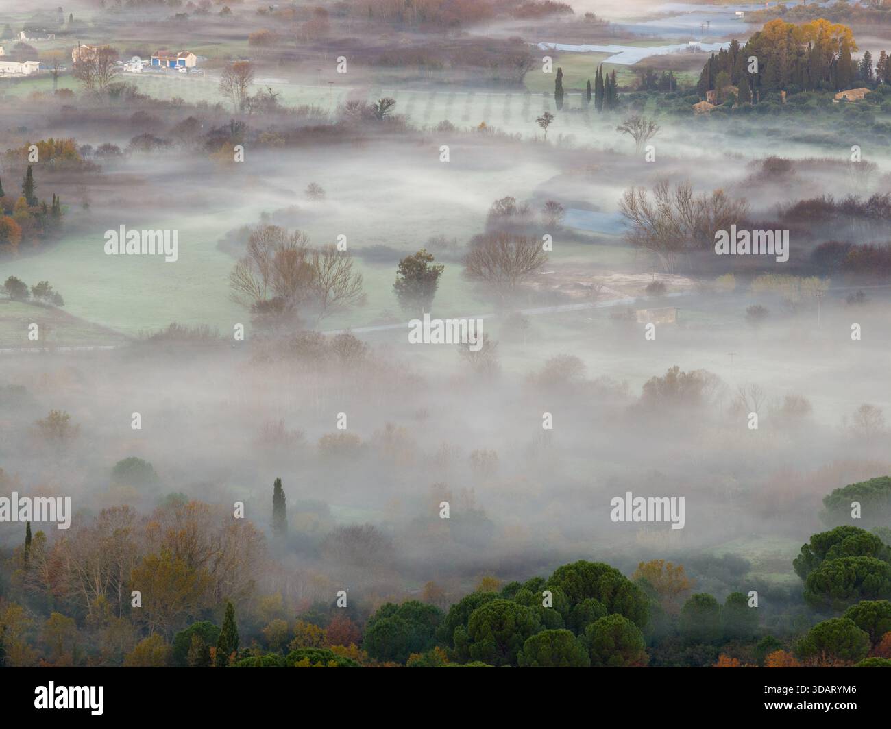 Vue aérienne rêveuse et éthérée d'arbres qui s'estompent dans une épaisse brume blanche matinale. Paysage de brouillard Soft Focus dans une vallée rurale à Corfou en Grèce Banque D'Images