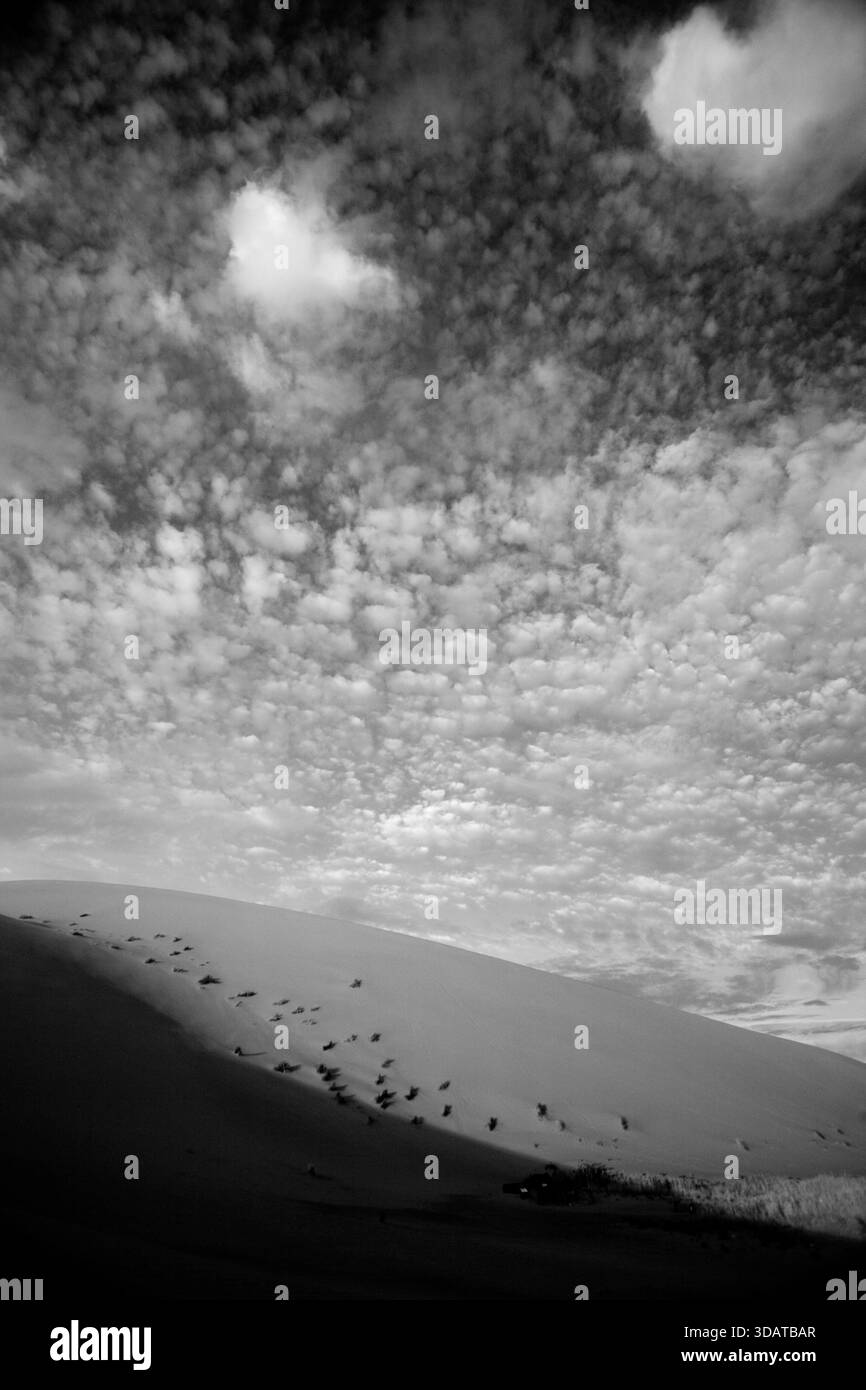 Dunes de sable géantes à Erg Chebbi, Maroc Banque D'Images