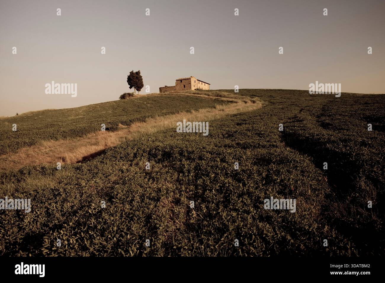 Campagne toscane, Italie Banque D'Images