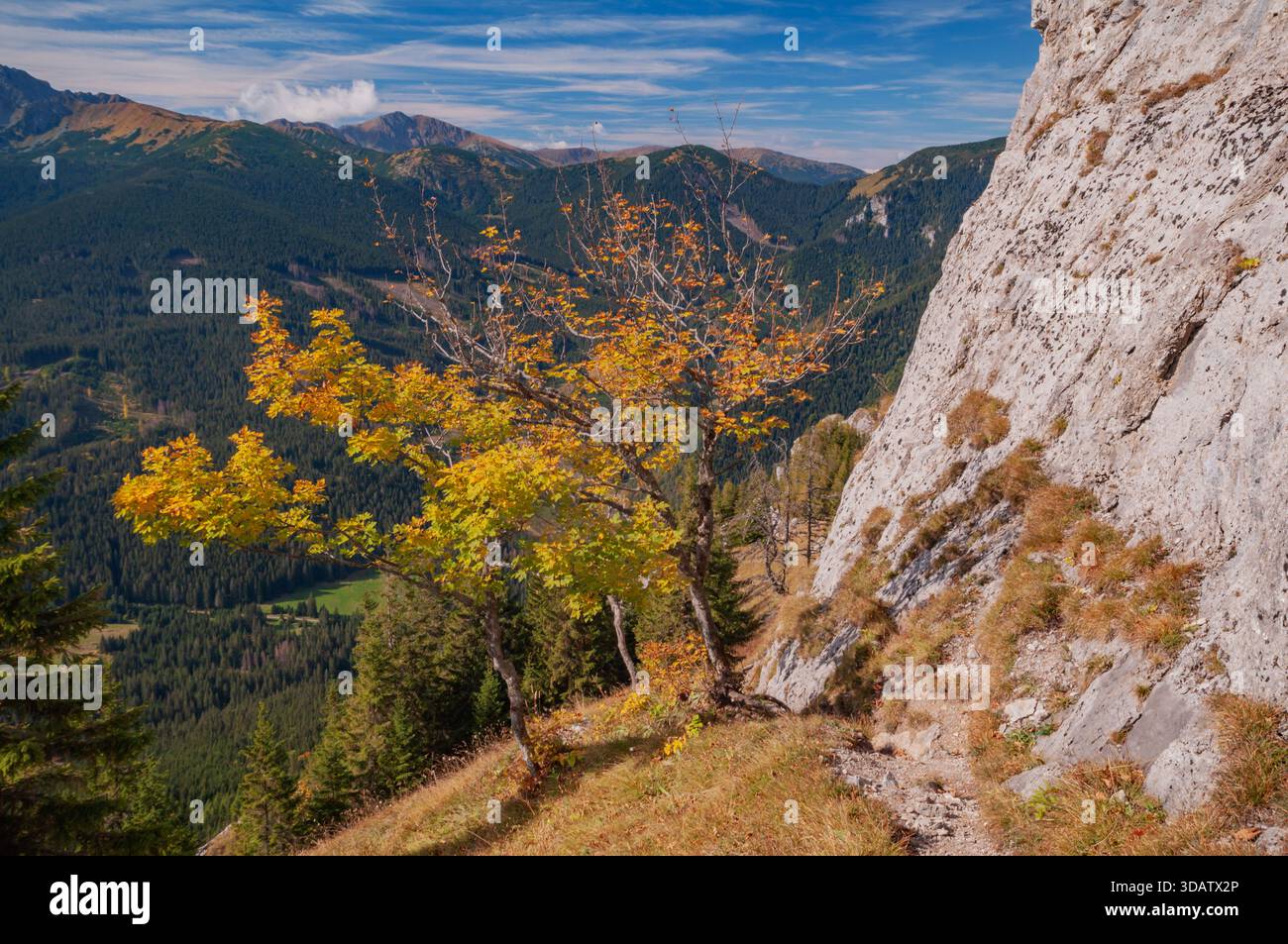 Vue des couleurs d'automne éclatant des arbres accrochés à une falaise rocheuse abrupte, surplombant les montagnes boisées sous un ciel bleu vif, Ohniste, Zilin Banque D'Images