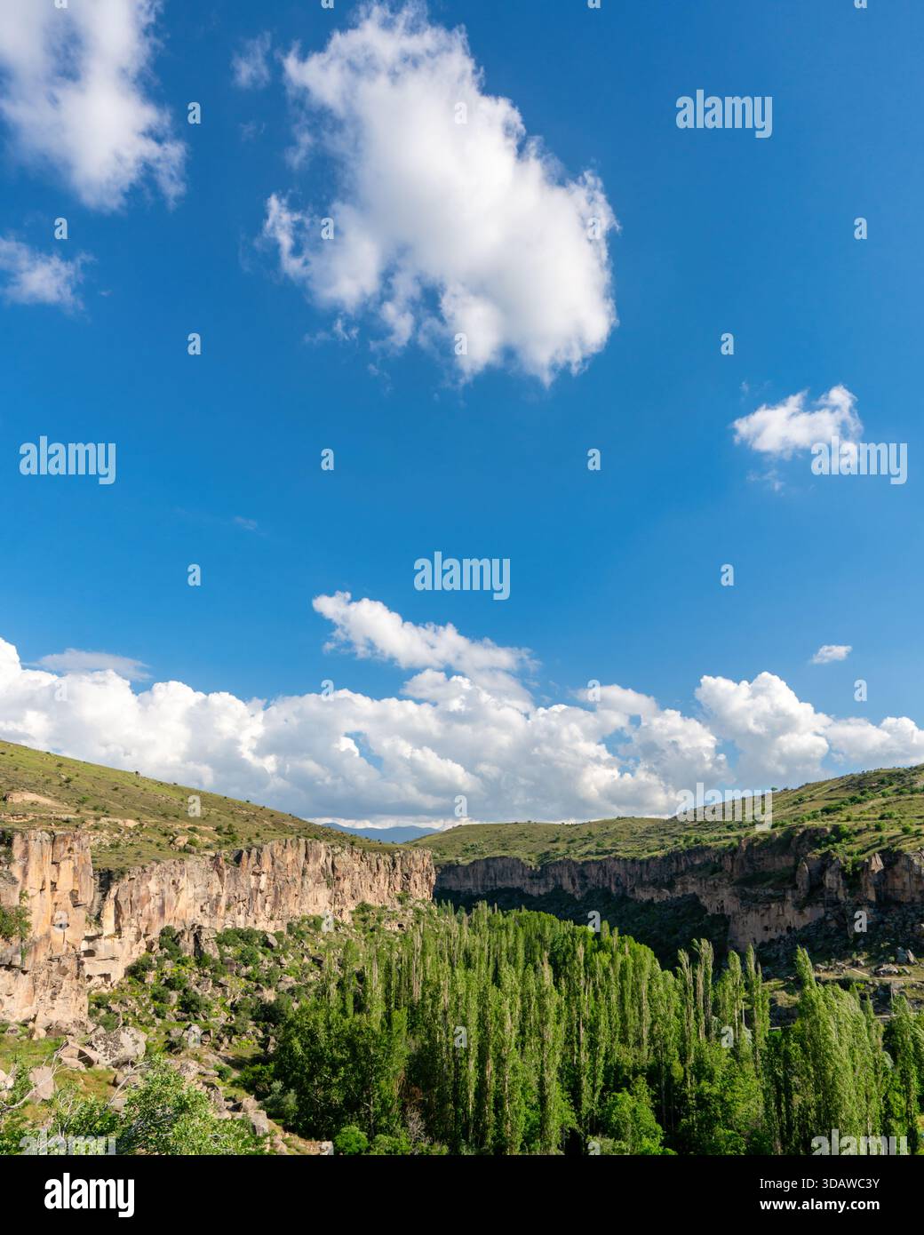 La vallée d'Ihlara offre une vue imprenable avec sa verdure luxuriante et ses falaises spectaculaires sous un ciel bleu clair. Le paysage pittoresque est parfait pour la nature Banque D'Images