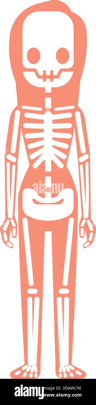 Un squelette est debout sur un fond blanc Illustration de Vecteur