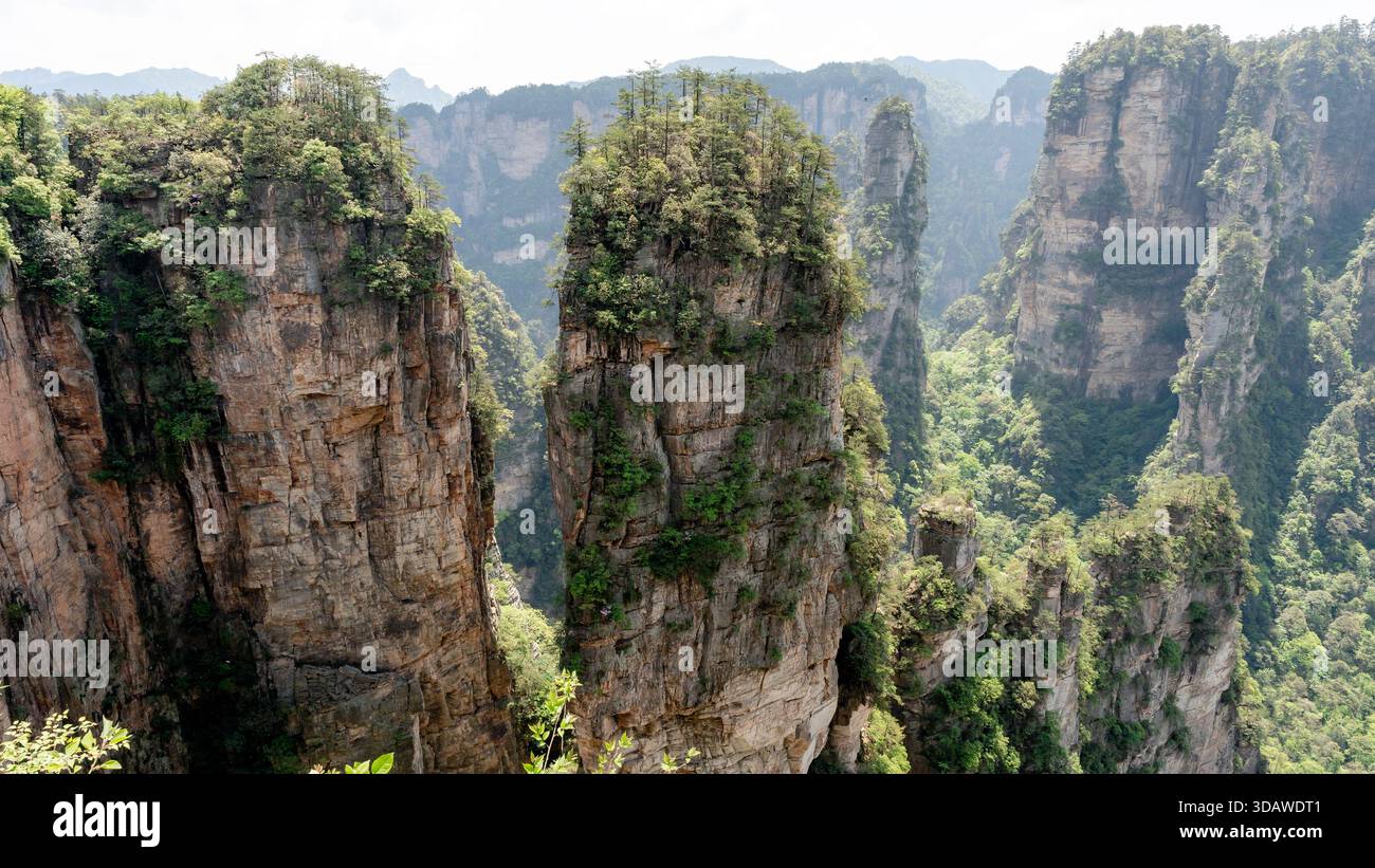 Vue majestueuse sur la montagne Hallelujah, également connue sous le nom de pilier du ciel, à Yuanjiajie, dans le parc forestier national de Zhangjiajie, présentant une pilule de grès imposante Banque D'Images