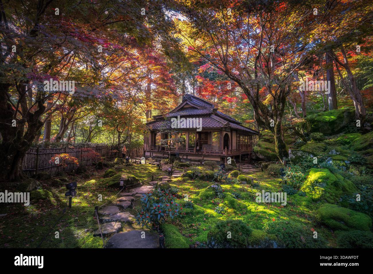 Vue d'une maison traditionnelle en bois nichée au milieu d'un feuillage d'automne vibrant et de pierres moussues, créant un paysage serein, Kyoto, Kyoto, Japon. Banque D'Images