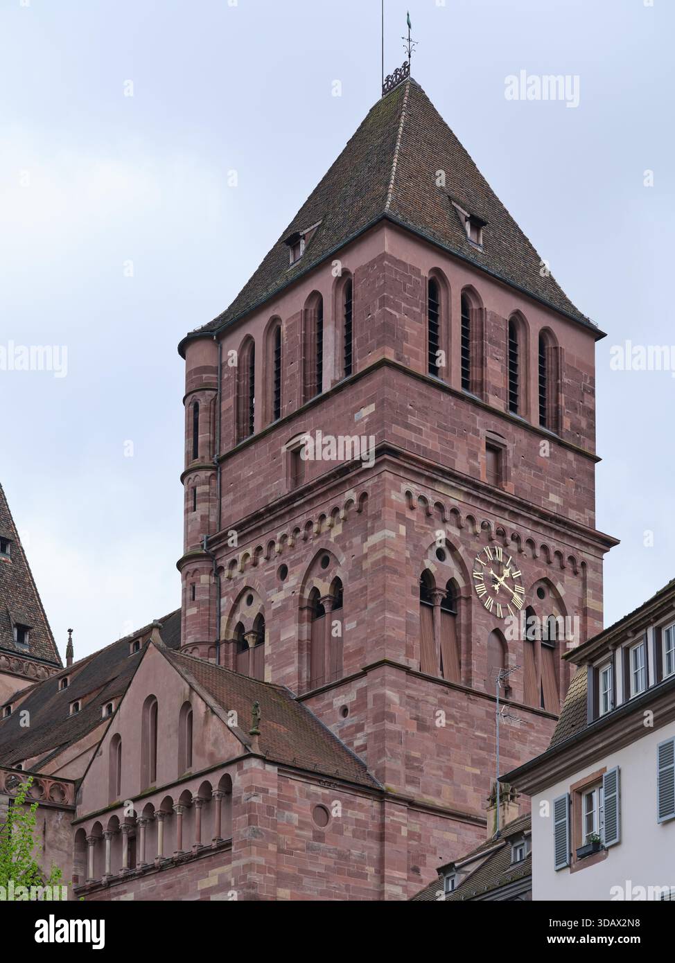 L'église Saint Thomas à Strasbourg, Alsace, France Banque D'Images