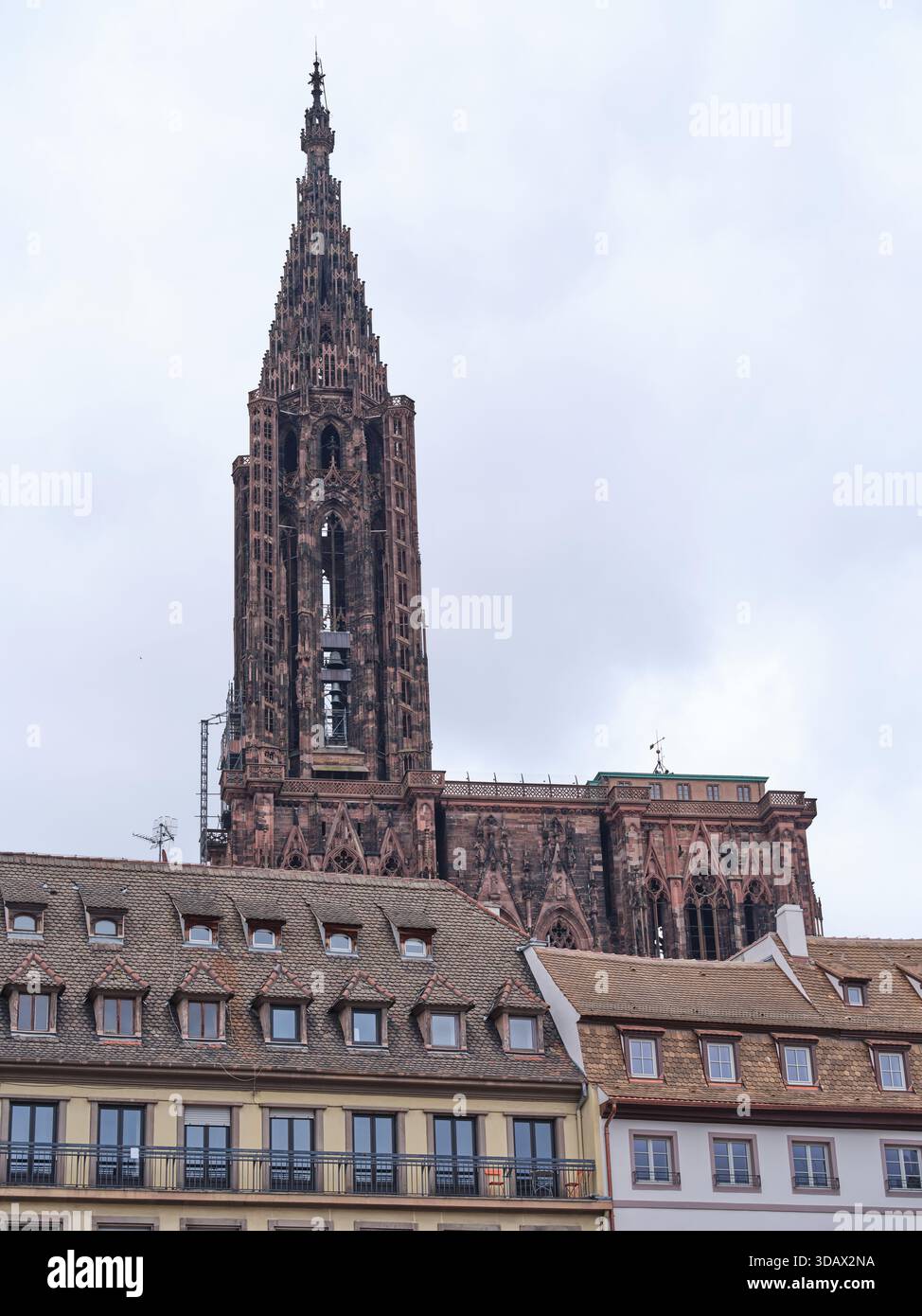 La cathédrale gothique de Strasbourg avec sa façade murale en grès rose des Vosges, héritage d'Erwin von Steinbach. Alsace, France Banque D'Images