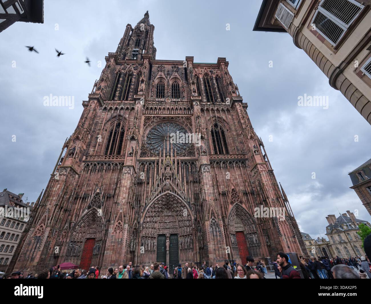 Façade ouest de la cathédrale gothique de Strasbourg avec sa façade murale en grès rose des Vosges, héritage d'Erwin von Steinbach. Alsace, FR Banque D'Images