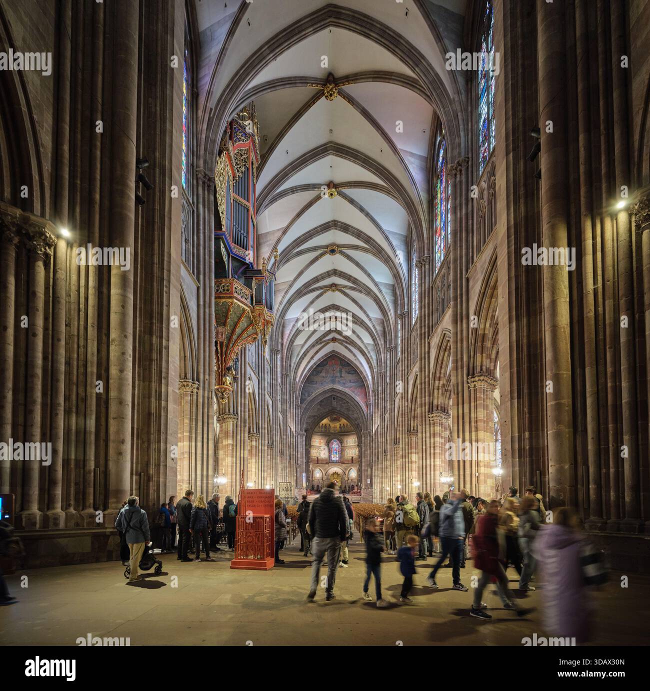 Nef de la cathédrale gothique de Strasbourg en grès rose des Vosges. Alsace, France. Banque D'Images