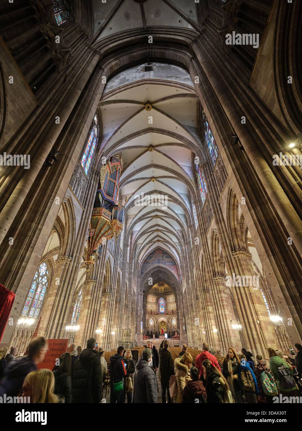 Nef de la cathédrale gothique de Strasbourg en grès rose des Vosges. Alsace, France. Banque D'Images