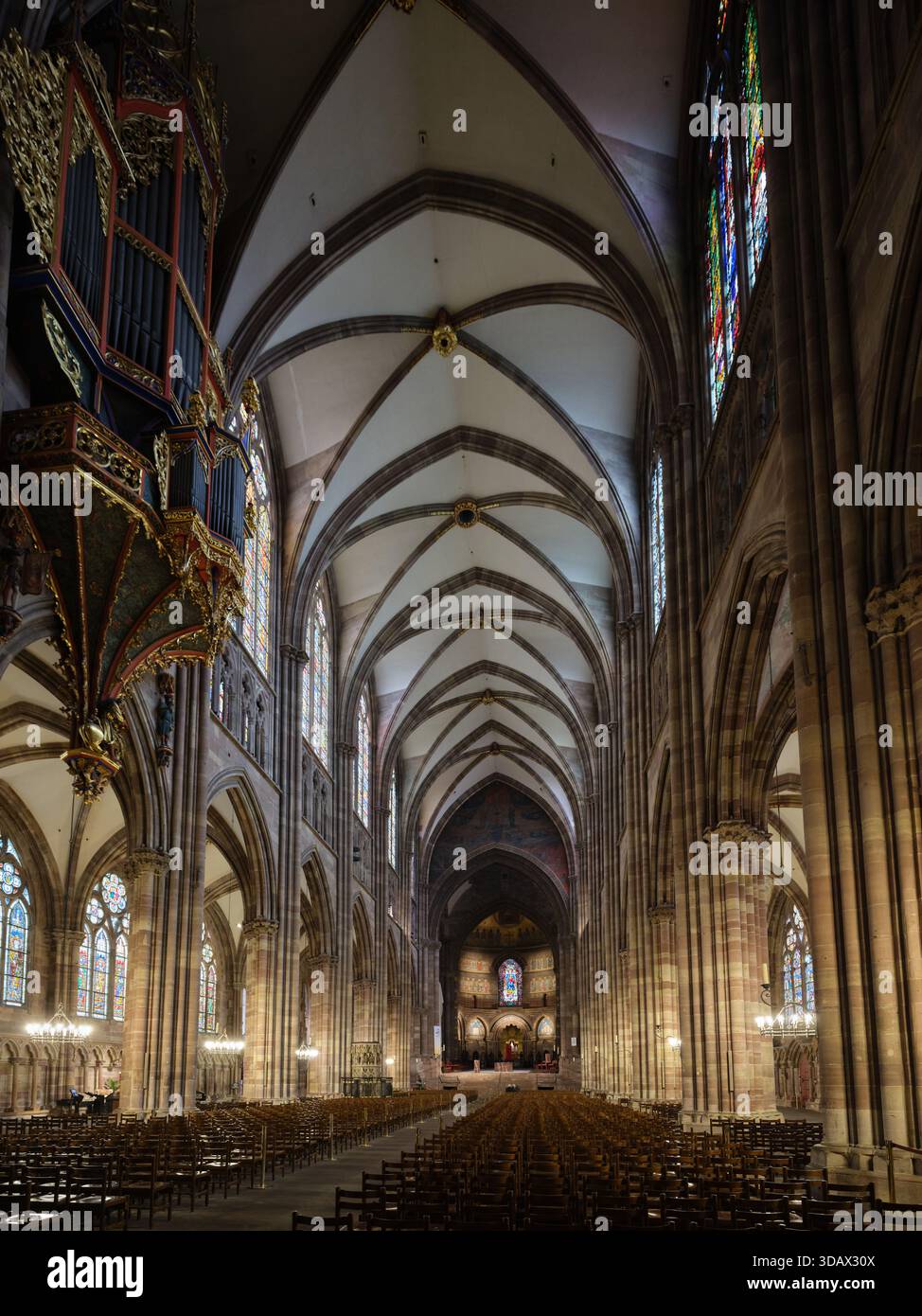 Nef de la cathédrale gothique de Strasbourg en grès rose des Vosges. Alsace, France. Banque D'Images
