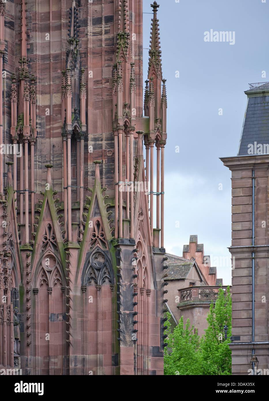 Façade ouest de la cathédrale gothique de Strasbourg avec sa façade murale en grès rose des Vosges, héritage d'Erwin von Steinbach. Alsace, FR Banque D'Images