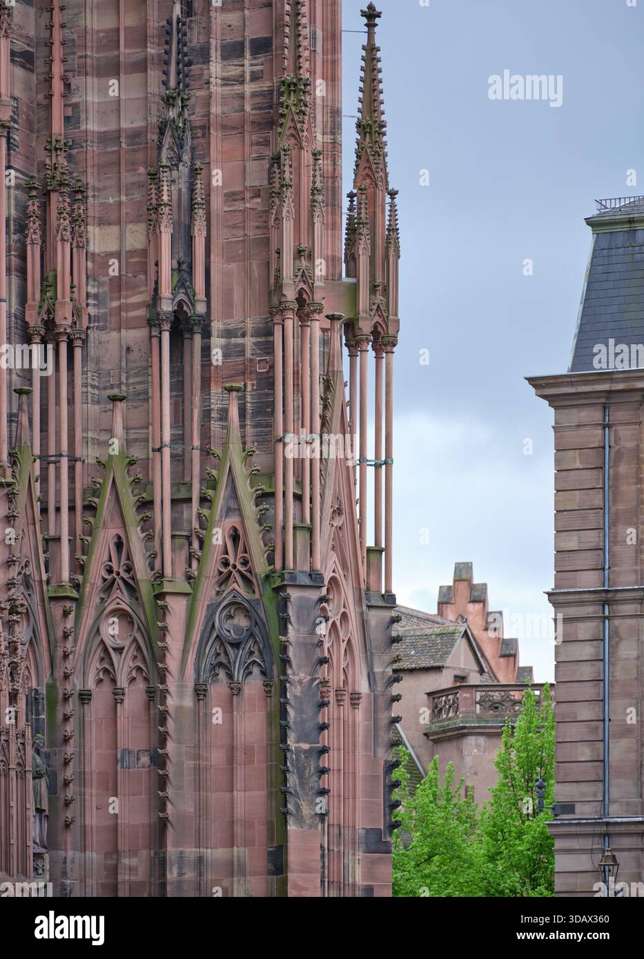 Façade ouest de la cathédrale gothique de Strasbourg avec sa façade murale en grès rose des Vosges, héritage d'Erwin von Steinbach. Alsace, FR Banque D'Images