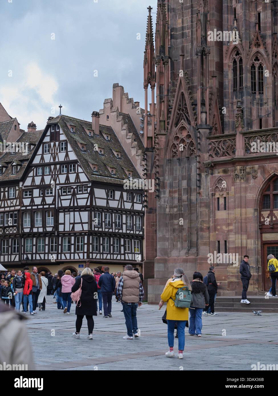 Façade ouest de la cathédrale gothique de Strasbourg avec sa façade murale en grès rose des Vosges, héritage d'Erwin von Steinbach. Alsace, FR Banque D'Images
