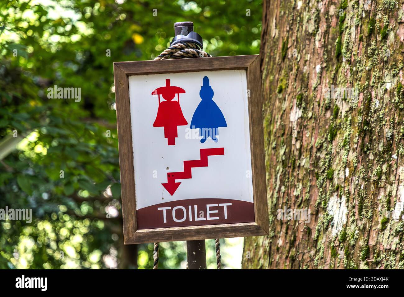 Signez pour les toilettes à Nachi Falls avec des figurines de style Heian. Enseigne de toilette avec symboles japonais traditionnels pour hommes et femmes à Nachikatsuura, préfecture de Wakayama, Japon Banque D'Images