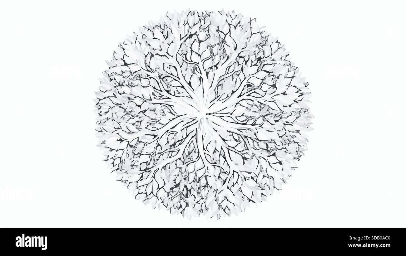 Motif circulaire abstrait noir et blanc ressemblant à des branches ou des racines d'arbres, isolé sur un fond blanc propre, vue de dessus. Illustration de Vecteur