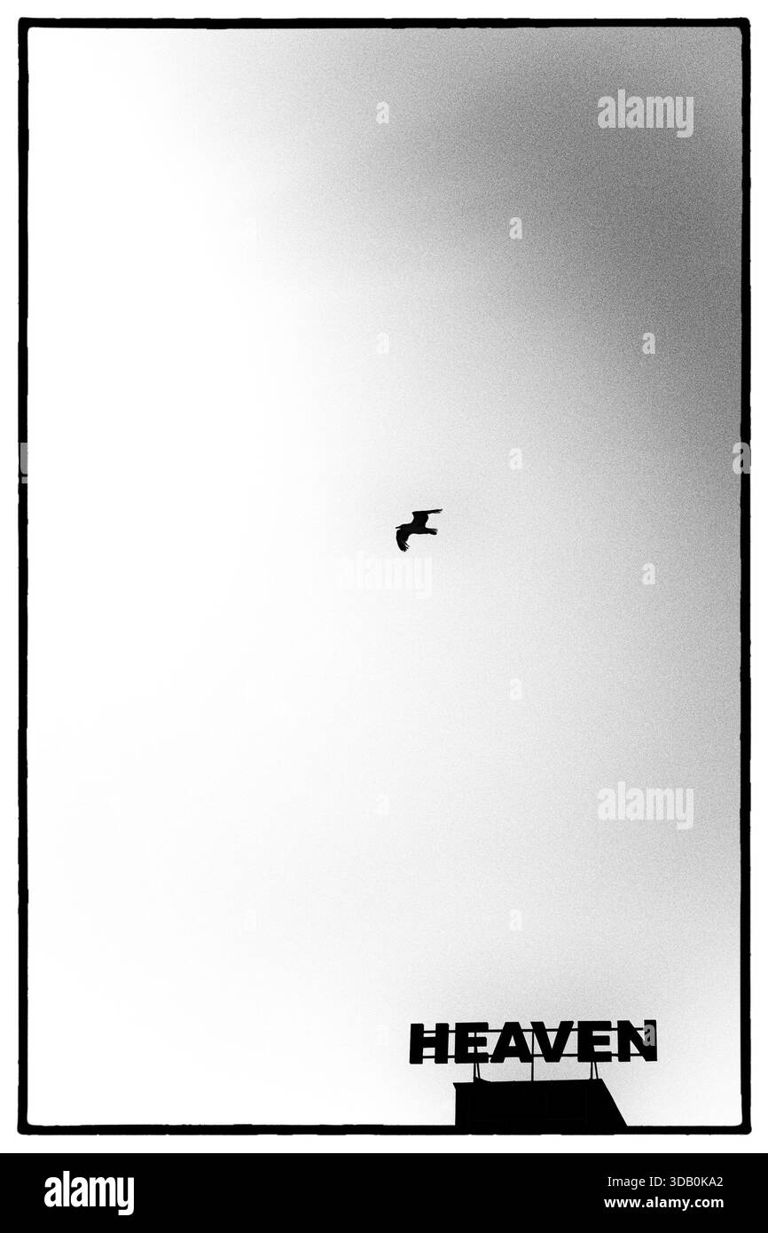 Image minimaliste en noir et blanc de silhouette d'oiseau volant au-dessus du signe de toit du ciel en Bulgarie. Fort contraste, espace négatif et urbain symbolique a Banque D'Images