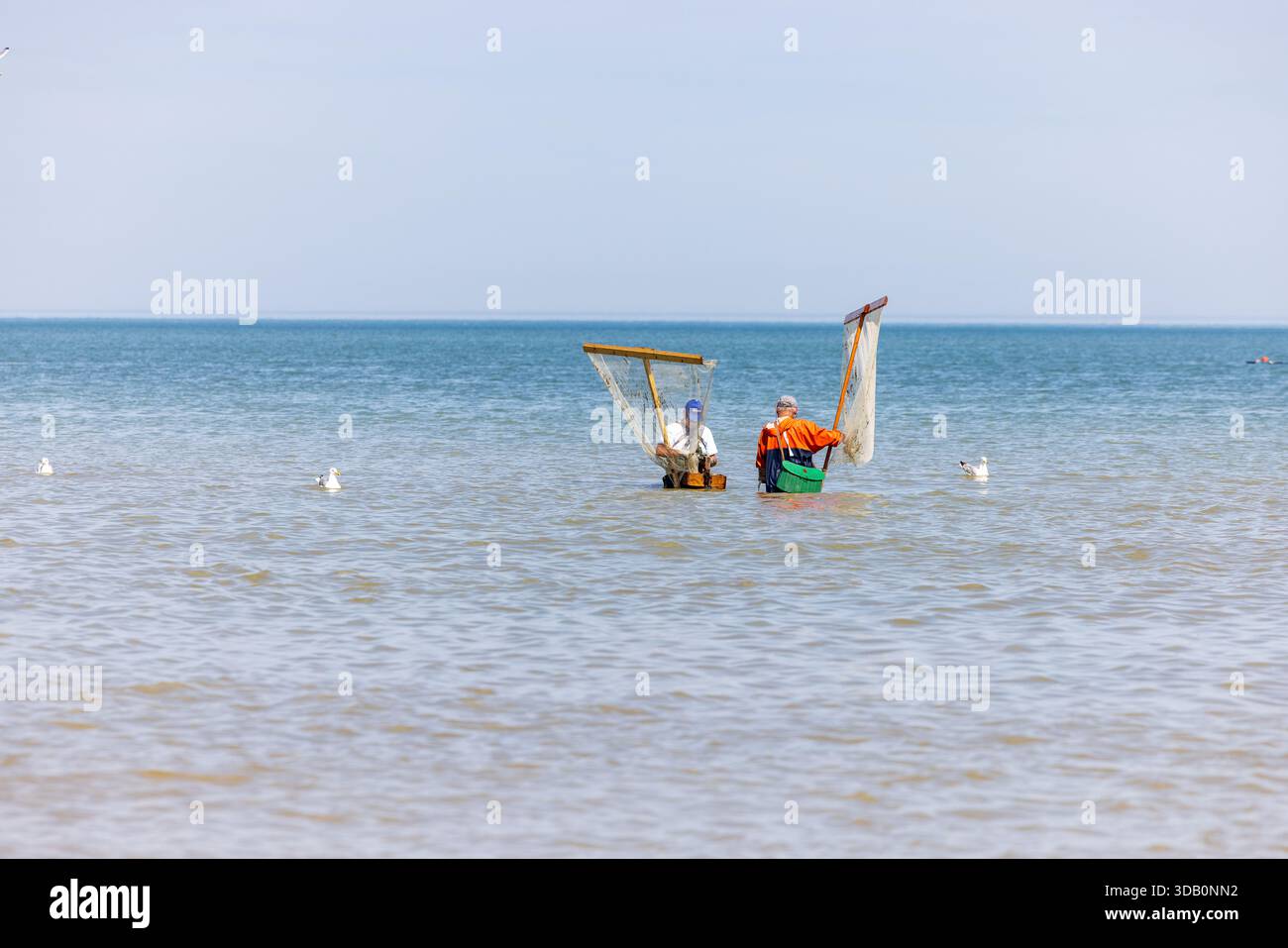 Pêcheurs de crevettes à Bray-Dunes, Nord de la France Banque D'Images