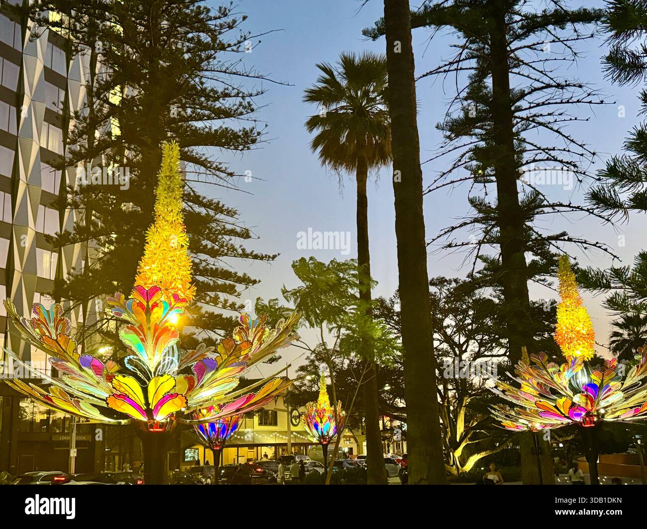 Décorations de Noël Moodjar sentinelles arbres de Noël australiens indigènes éclairant Barrack Square Elizabeth Quay Perth Australie occidentale - Image de stock capturée avec un smartphone