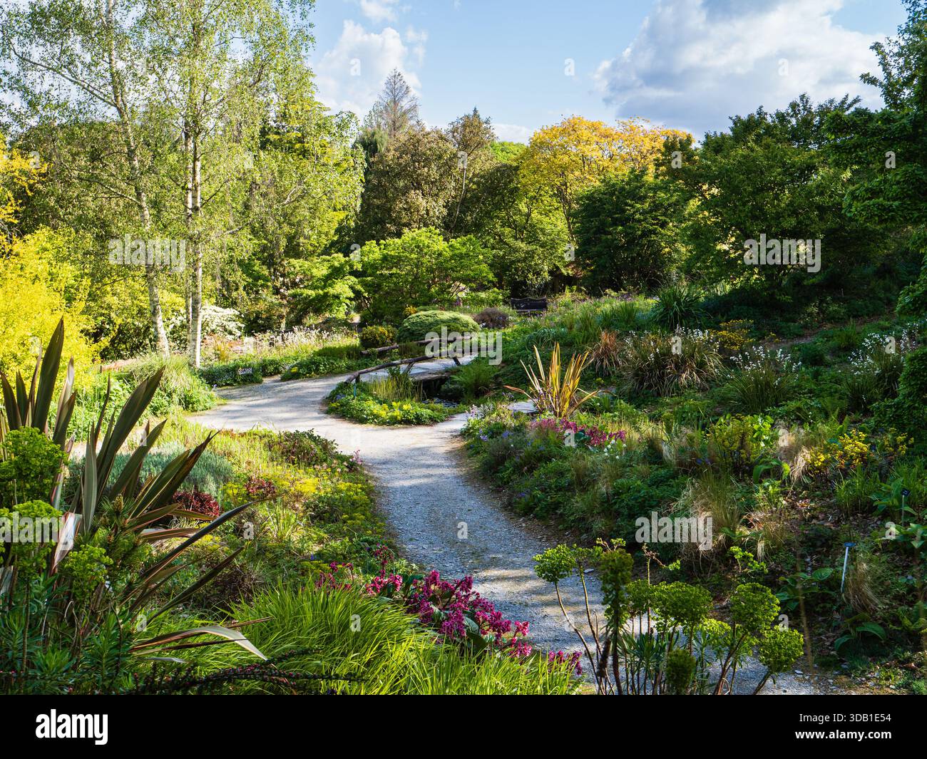 Vue de printemps ensoleillée sur la Quarry Bank et Cottage gGarden Borders à The Garden House, Devon, Royaume-Uni Banque D'Images