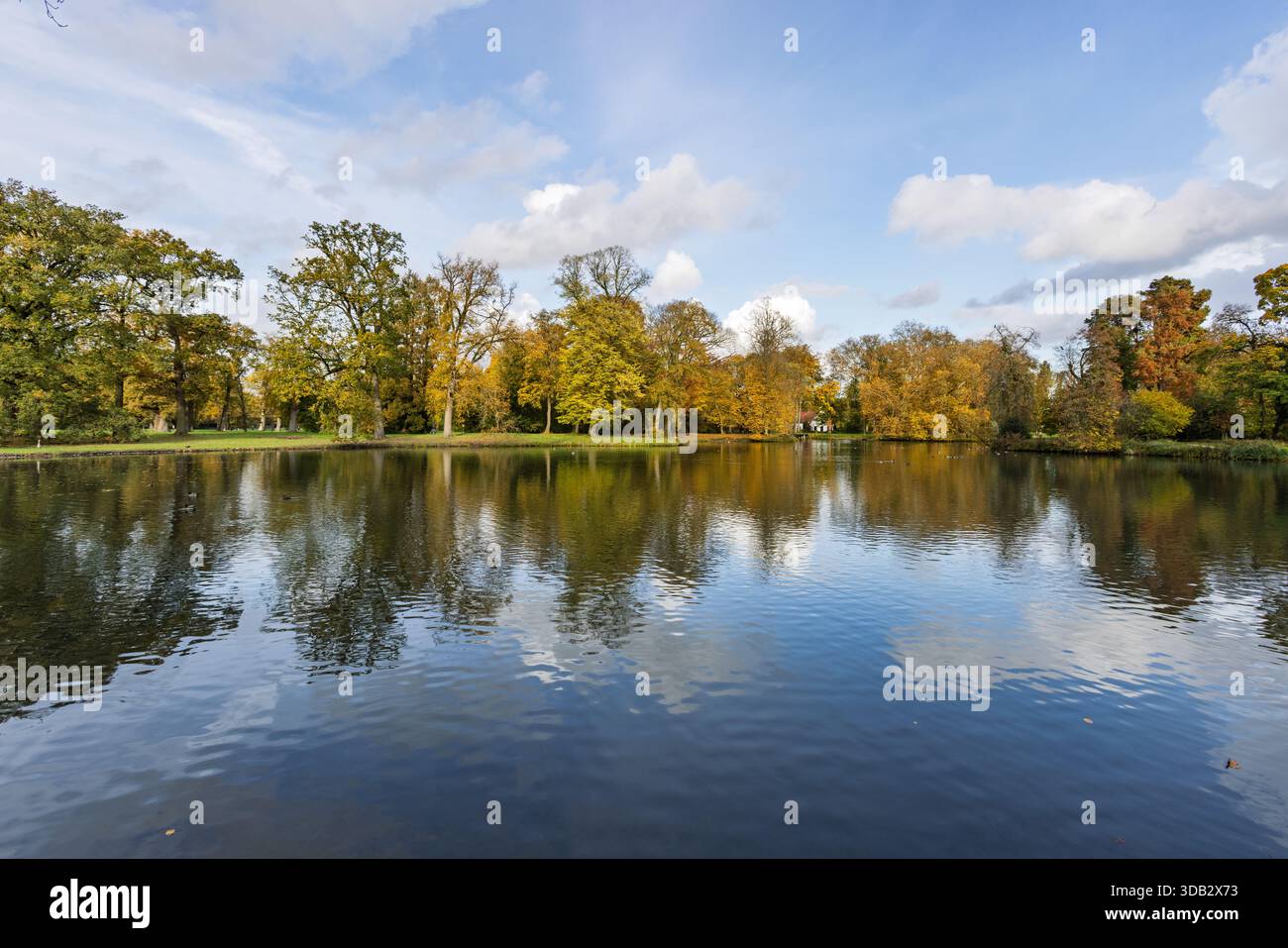 Lac serein dans le parc du château de Haar. Arbres d'automne colorés se reflétant dans l'eau calme sous un ciel bleu avec des nuages à Utrecht. Banque D'Images