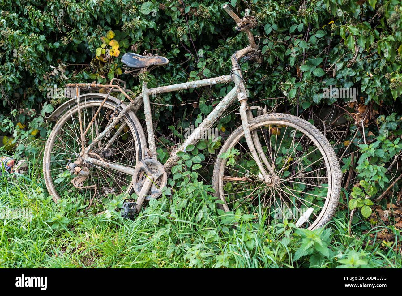Vieux vélo rouillé trouvé dans la rivière Banque D'Images