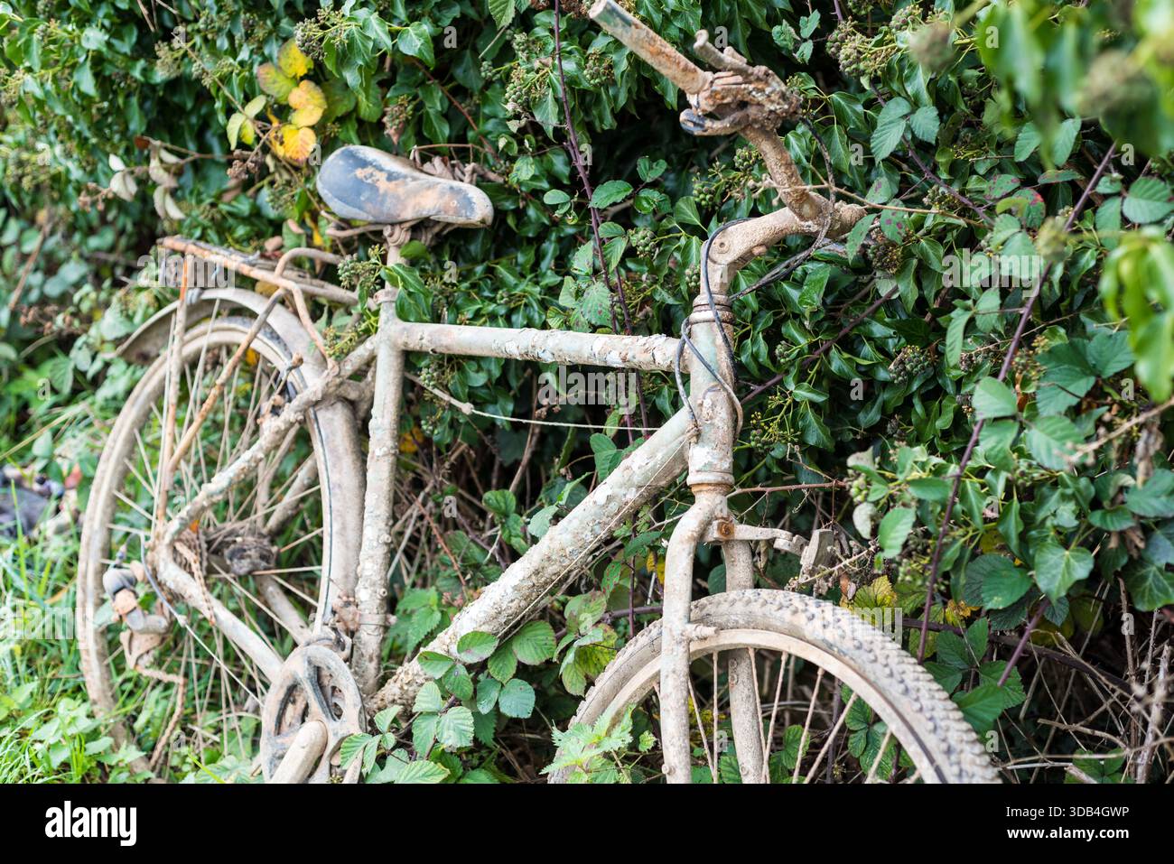 Vieux vélo rouillé trouvé dans la rivière Banque D'Images