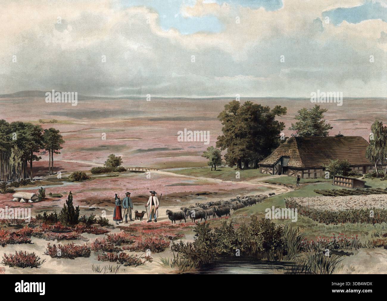 Berger dans la Heath de Lüneburg, basse-Saxe, Allemagne, reproduction authentique d'une carte murale d'école, historique, vers 1900 Banque D'Images