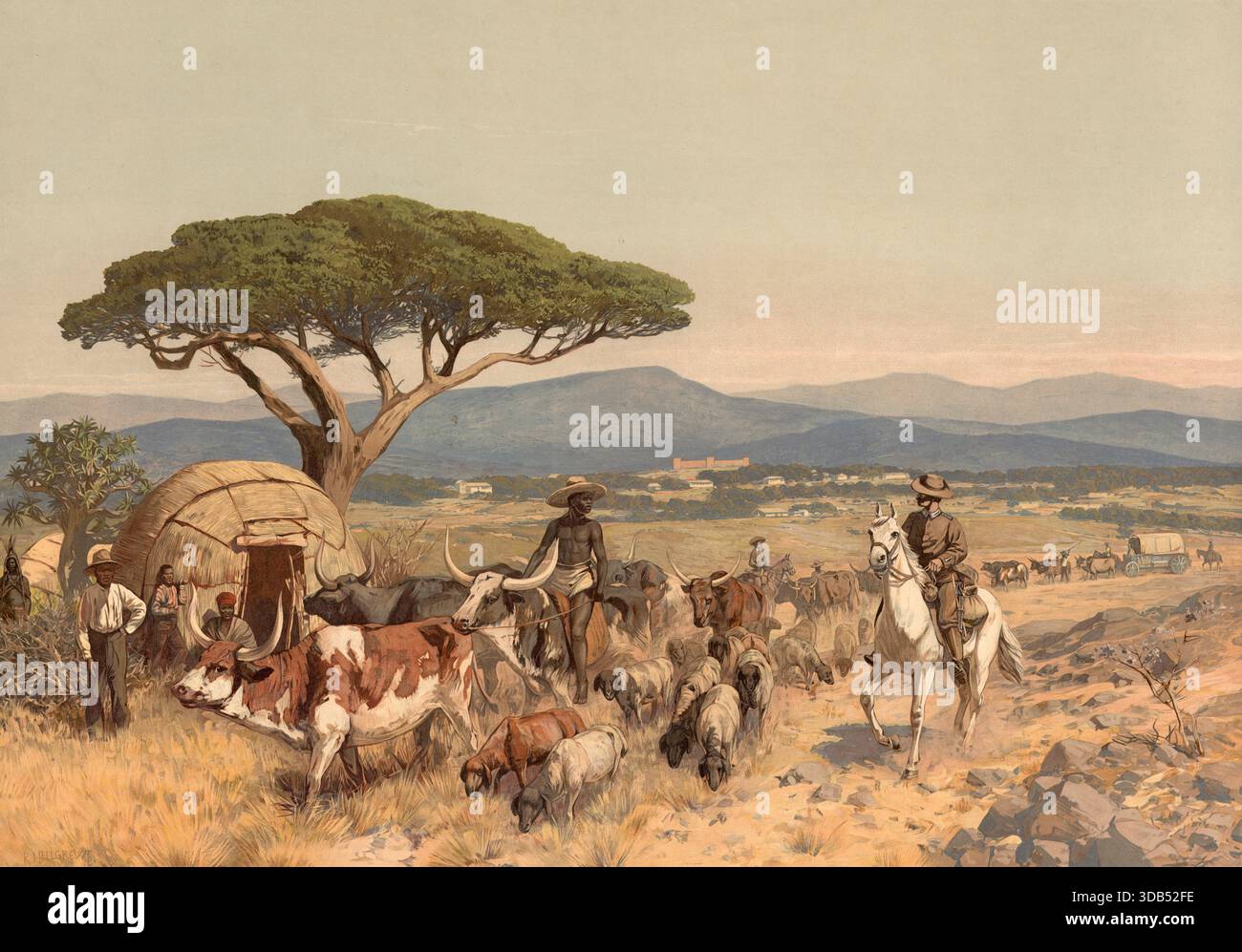 Bergers avec leur troupeau sur la steppe près de Windhoek, colonie allemande, Namibie, reproduction authentique d'une carte murale d'école, historique, vers 1900 Banque D'Images