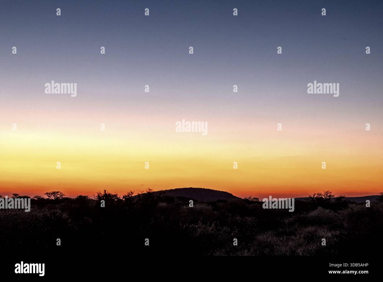 Crépuscule, réserve de Twasulu Kalahari, Kalahari, Afrique du Sud Banque D'Images