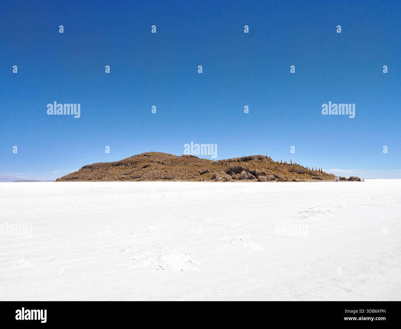 Incahuasi ou île de Cactus une île volcanique isolée au milieu des salines d'Uyuni le Salar de Uyuni en Bolivie en Amérique du Sud Banque D'Images