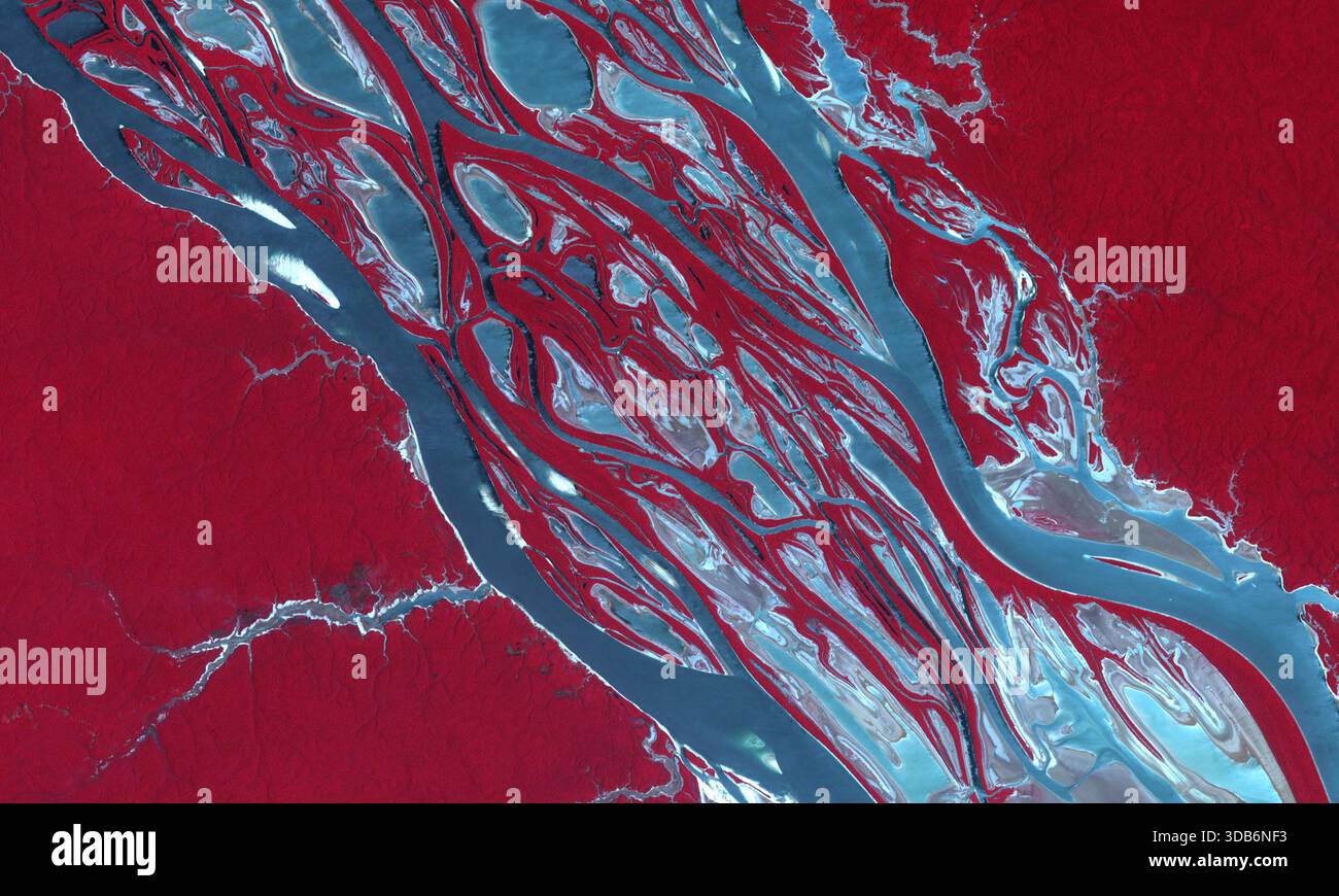 Une grave sécheresse en Amazonie perturbe les transports, isole les communautés et met la faune en danger. L'Amazonie et ses affluents, y compris le Rio Negro qui rejoint l'Amazonie à Manaus (image de 2023), sont tombés à leur niveau le plus bas depuis plus d'un siècle. Les images ont été acquises le 9 octobre 2023 et le 15 août 2020. Ils couvrent une superficie de 30 sur 45 km, et sont situés à 2,8 degrés sud, 60,7 degrés ouest Banque D'Images