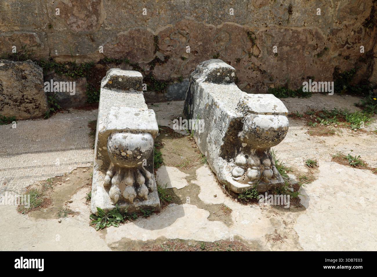 Pieds de lions sculptés aux bains de Cyrène dans l'est de la Libye Banque D'Images
