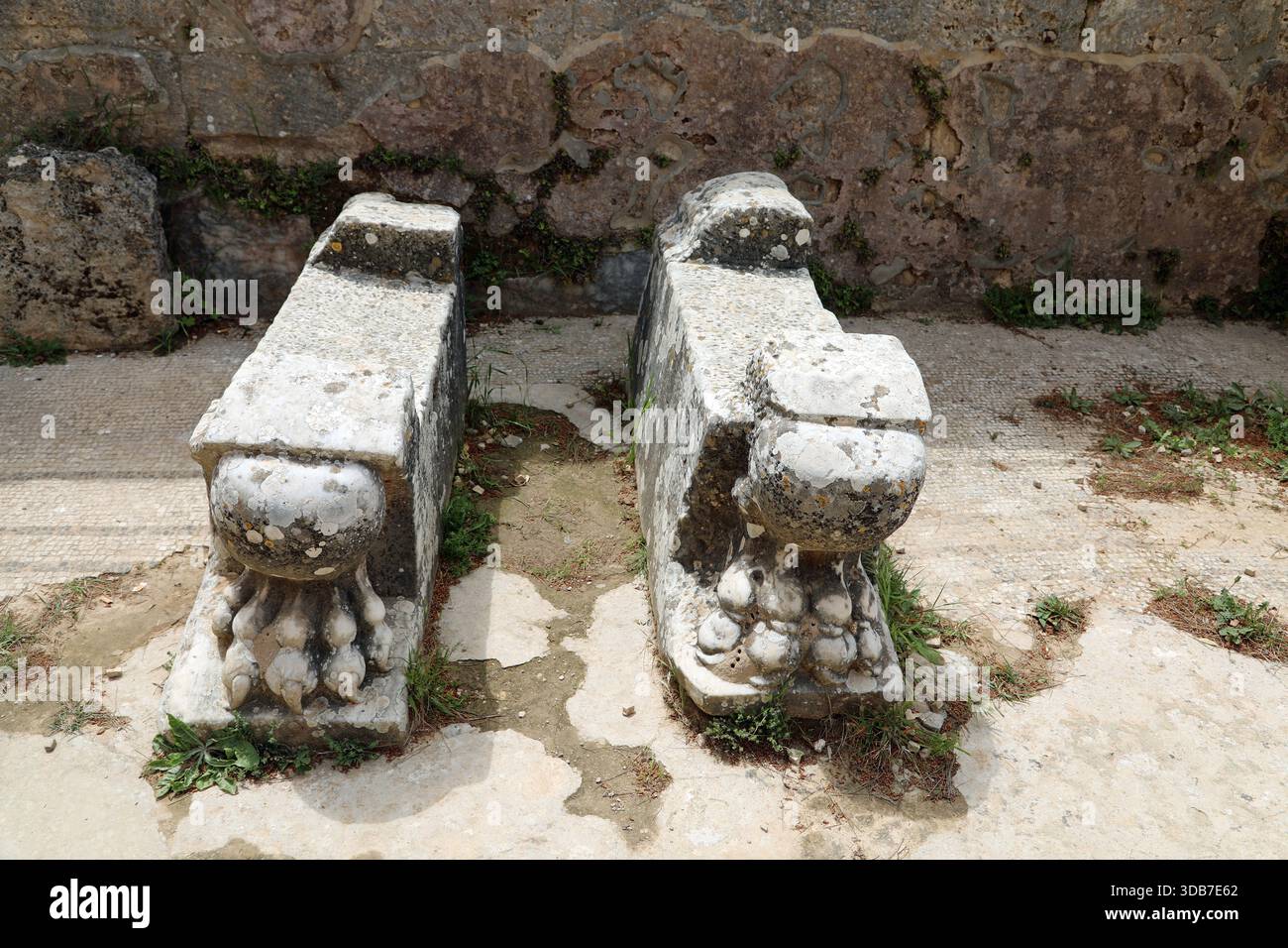 Pieds de lions sculptés aux bains de Cyrène dans l'est de la Libye Banque D'Images